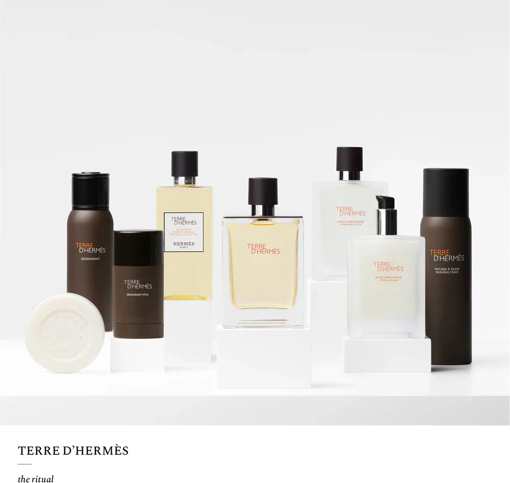 Hermès Terre D'Hermès EDT 200 ml